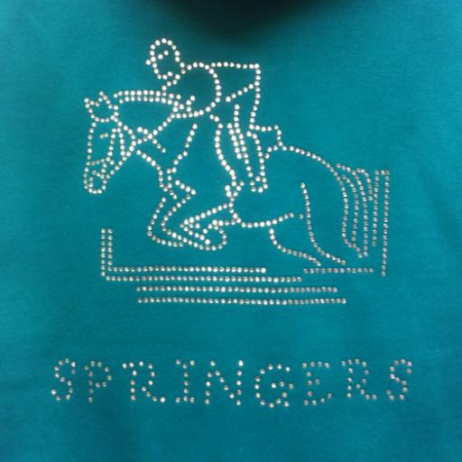 Childs Showjumper Hoody