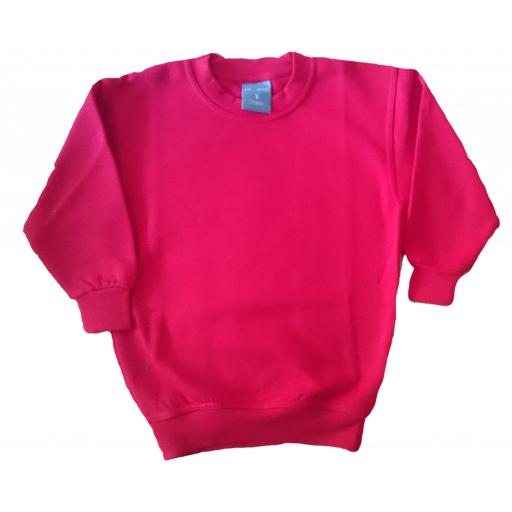 Saltwood PE Plain Sweatshirt